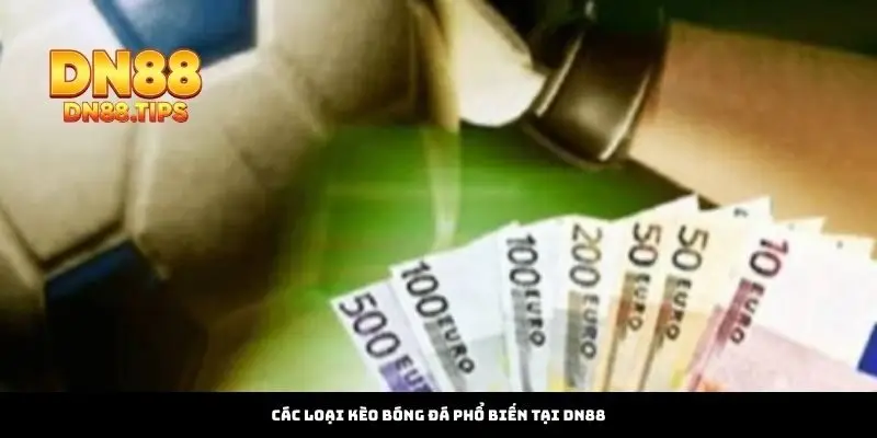 Cách Đọc Kèo Bóng Đá Chuẩn Thông Minh Tại DN88 - PLAYMIRA99