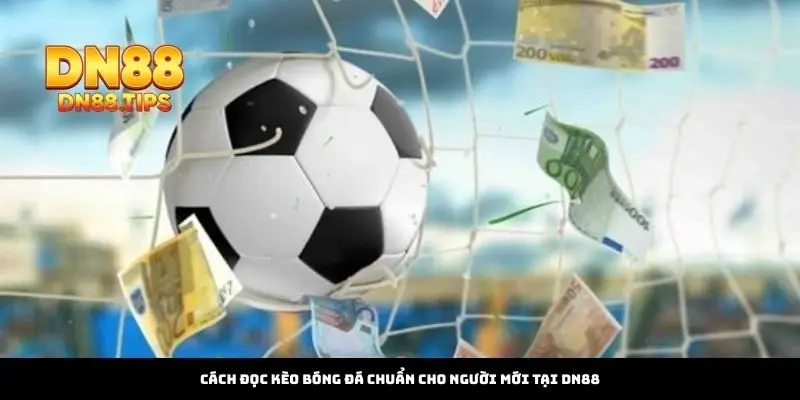 Cách Đọc Kèo Bóng Đá Chuẩn Thông Minh Tại DN88 - PLAYMIRA99