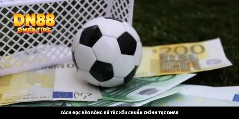 Cách Đọc Kèo Bóng Đá Tài Xỉu Chuẩn Xác Tại DN88 - PLAYMIRA99