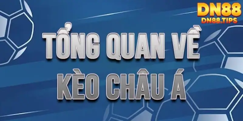 Kèo Châu Á DN88 Hình Thức Cá Cược Bóng Đá Phổ Biến - PLAYMIRA99