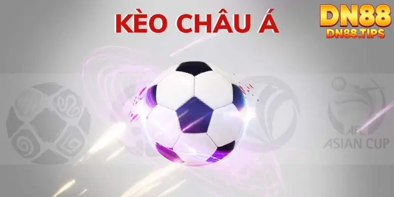 Thể thao DN88 - Nền tảng chơi thể thao trực tuyến hấp dẫn - PLAYMIRA99