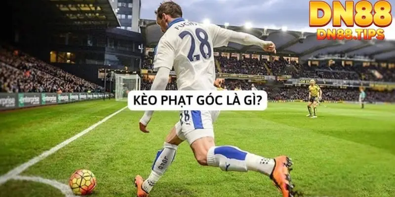 Kèo Phạt Góc DN88 Phân Tích Chi Tiết, Cách Chơi Hiệu Quả - PLAYMIRA99