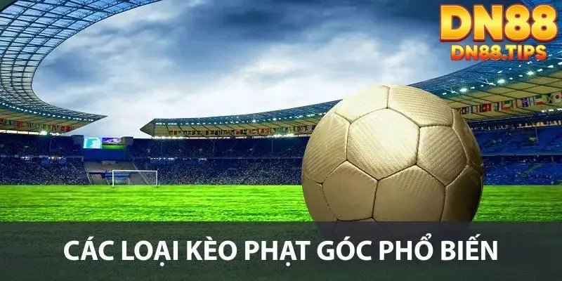 Kèo Phạt Góc DN88 Phân Tích Chi Tiết, Cách Chơi Hiệu Quả - PLAYMIRA99