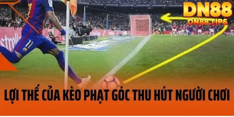 Kèo Phạt Góc DN88 Phân Tích Chi Tiết, Cách Chơi Hiệu Quả - PLAYMIRA99