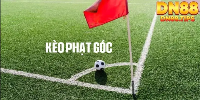 Thể thao DN88 - Nền tảng chơi thể thao trực tuyến hấp dẫn - PLAYMIRA99