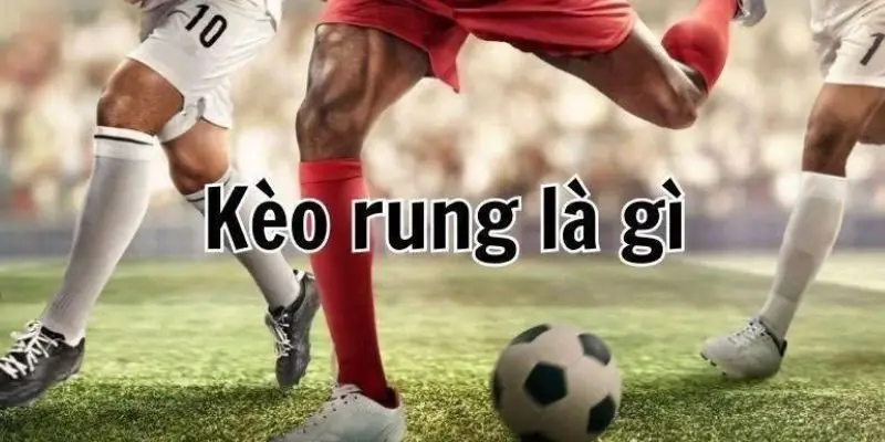 Kèo Rung DN88 Hình Thức Cá Cược Trực Tiếp Kịch Tính - PLAYMIRA99