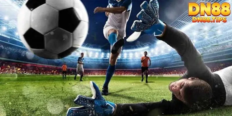 Kèo Rung DN88 Hình Thức Cá Cược Trực Tiếp Kịch Tính - PLAYMIRA99
