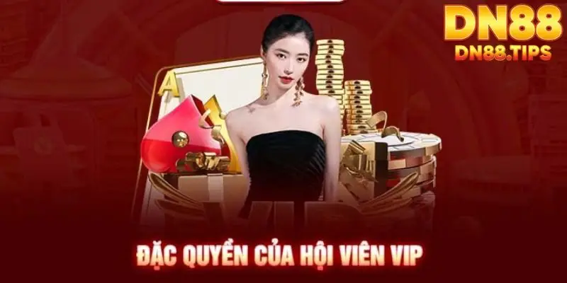 Khuyến Mãi DN88 Ưu Đãi Hấp Dẫn, Nhận Thưởng Cực Khủng - PLAYMIRA99