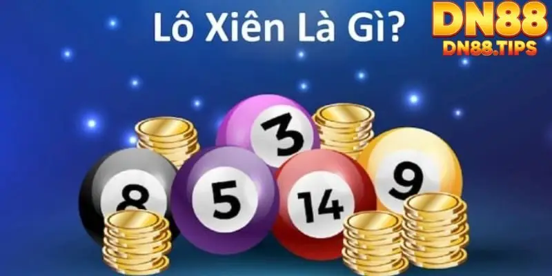 Lô Xiên DN88 - Hình Thức Cá Cược Sinh Lời Cao Tại DN88 - PLAYMIRA99