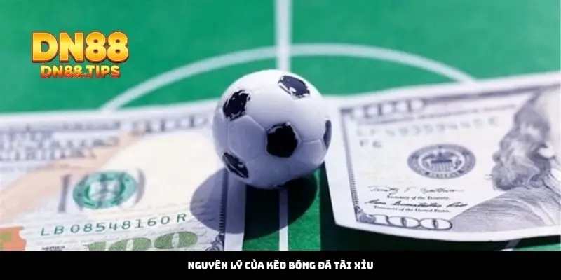 Cách Đọc Kèo Bóng Đá Tài Xỉu Chuẩn Xác Tại DN88 - PLAYMIRA99