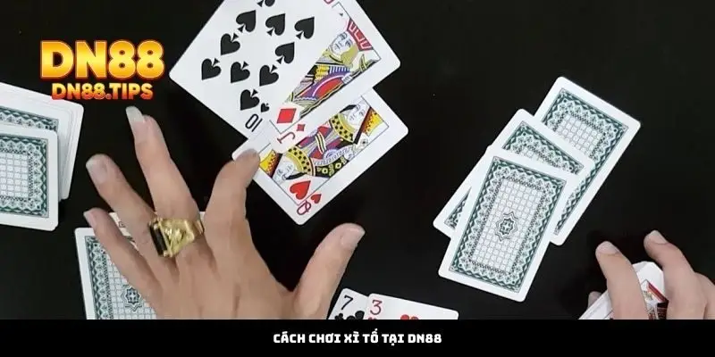 Cách Chơi Xì Tố Chuẩn Luật – Chinh Phục Bàn Bài DN88 - PLAYMIRA99