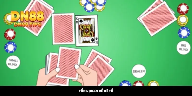 Cách Chơi Xì Tố Chuẩn Luật – Chinh Phục Bàn Bài DN88 - PLAYMIRA99